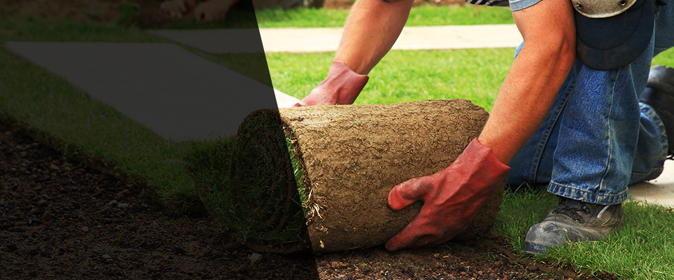 Cedar Creek Landscapers